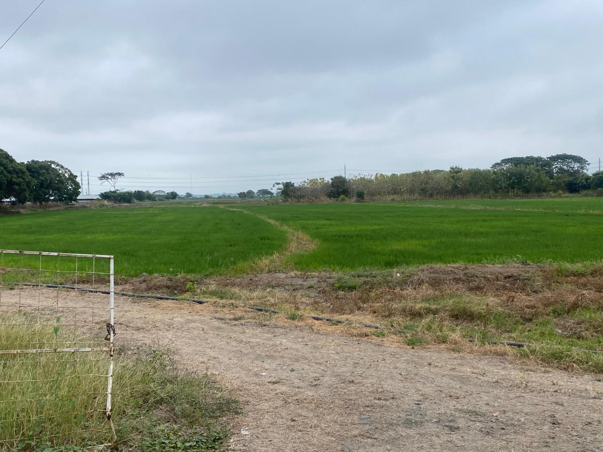 Vendo Hermosa Finca por Km. 17 Via a Naranjal, Guayas — imagen 6
