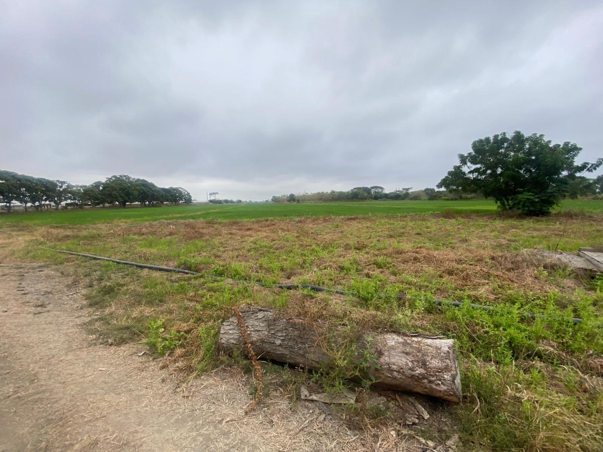 Vendo Hermosa Finca por Km. 17 Via a Naranjal, Guayas — imagen 4