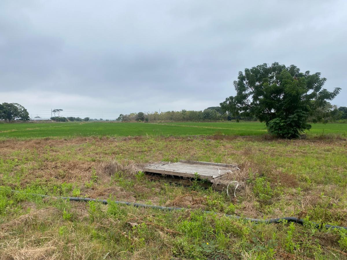Vendo Hermosa Finca por Km. 17 Via a Naranjal, Guayas — imagen 3