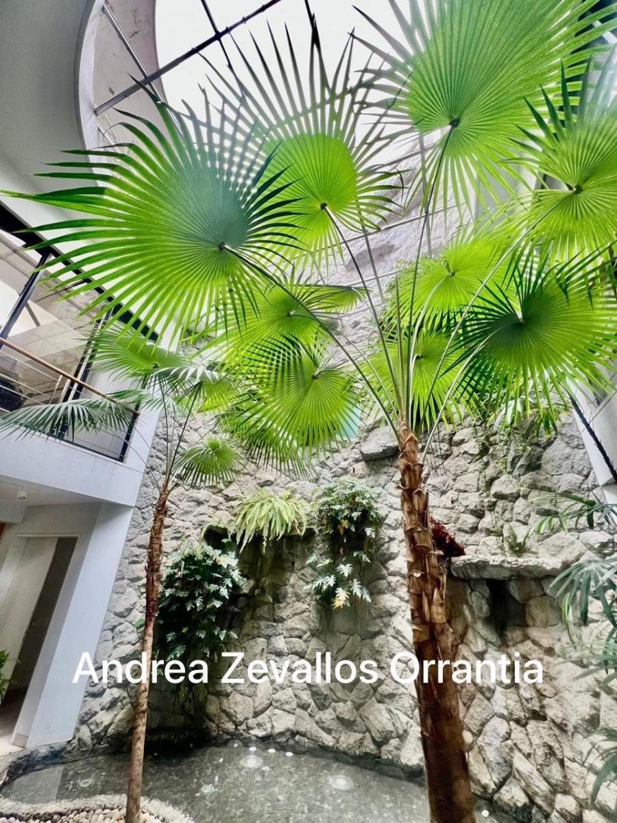 Casa Al Río! Primeros Km! Venta! Terreno Bifamiliar!’, Guayas — imagen 7
