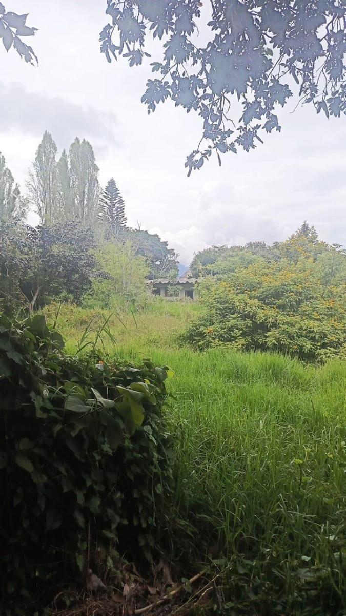 Se Vende Terreno de 2500 m² en El Sector Rumihuaco en $ — imagen 6