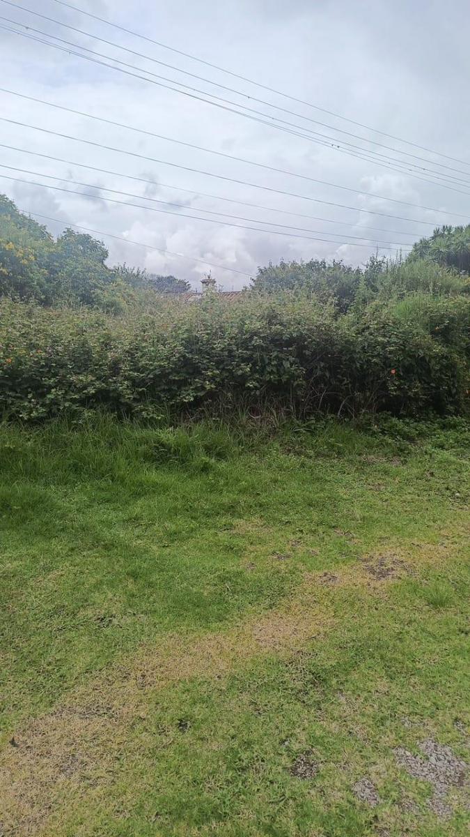 Se Vende Terreno de 2500 m² en El Sector Rumihuaco en $ — imagen 3
