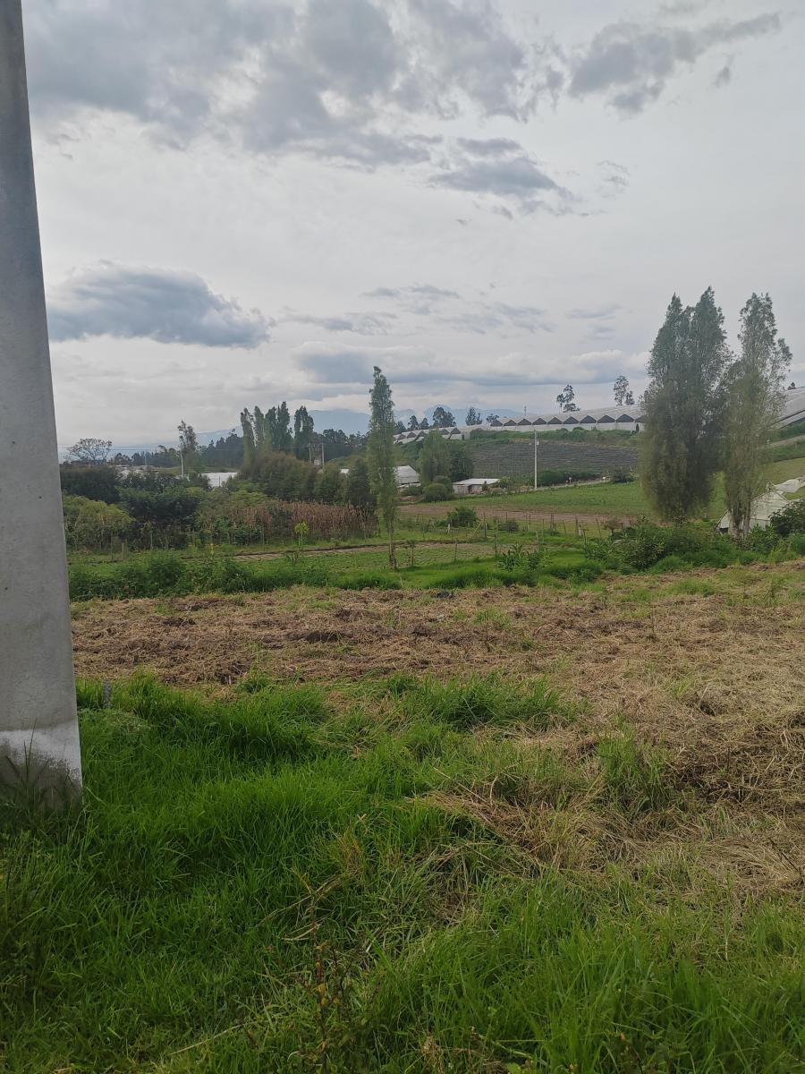 Vendo Lindo Terreno en Yaruqui Sector Chaupiestancia — imagen 10