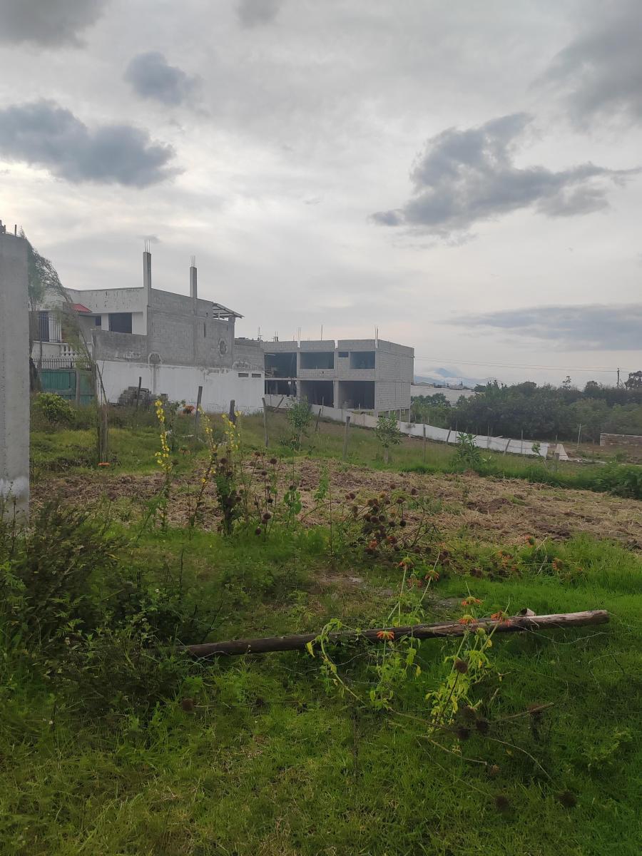 Vendo Lindo Terreno en Yaruqui Sector Chaupiestancia — imagen 8