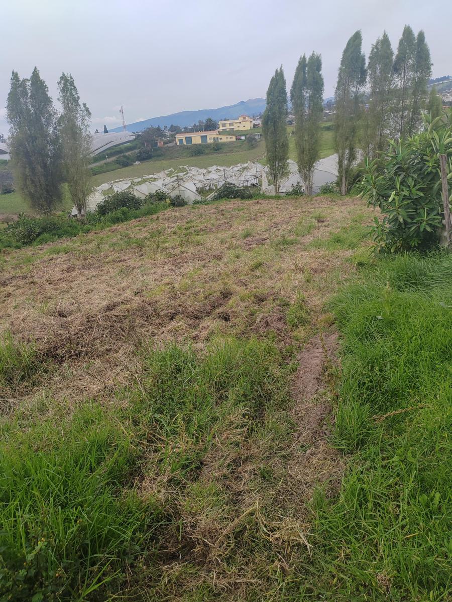 Vendo Lindo Terreno en Yaruqui Sector Chaupiestancia — imagen 6