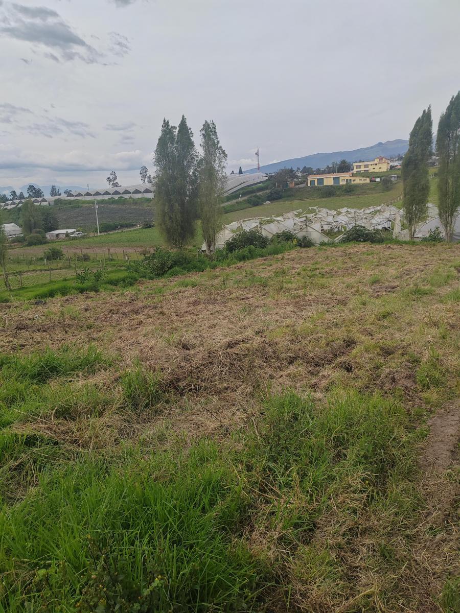 Vendo Lindo Terreno en Yaruqui Sector Chaupiestancia — imagen 5