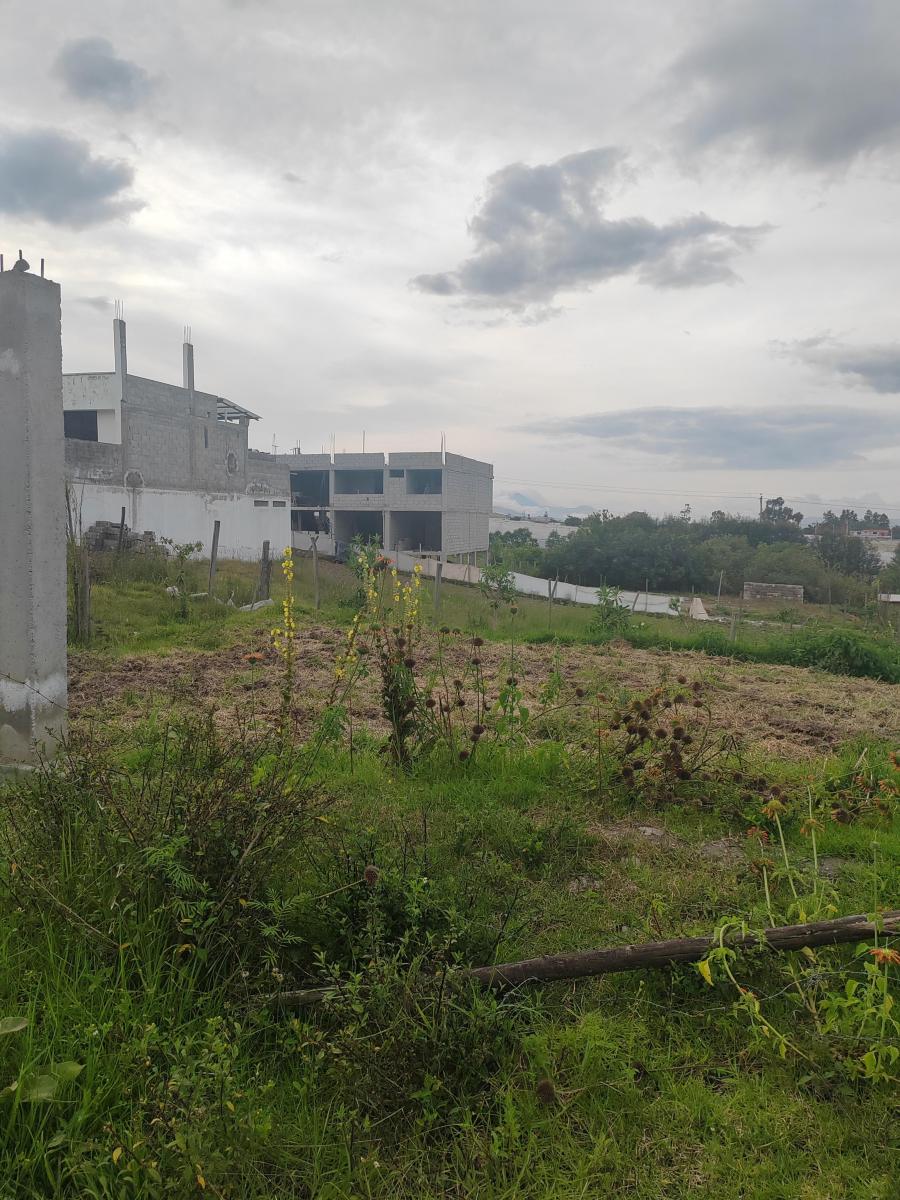 Vendo Lindo Terreno en Yaruqui Sector Chaupiestancia — imagen 3