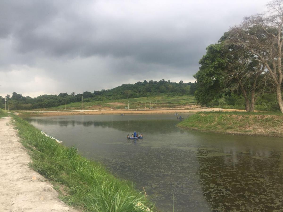 Oportunidad, Camaronera Funcionando de Venta Zona Rural de Chone, Manabí — imagen 8