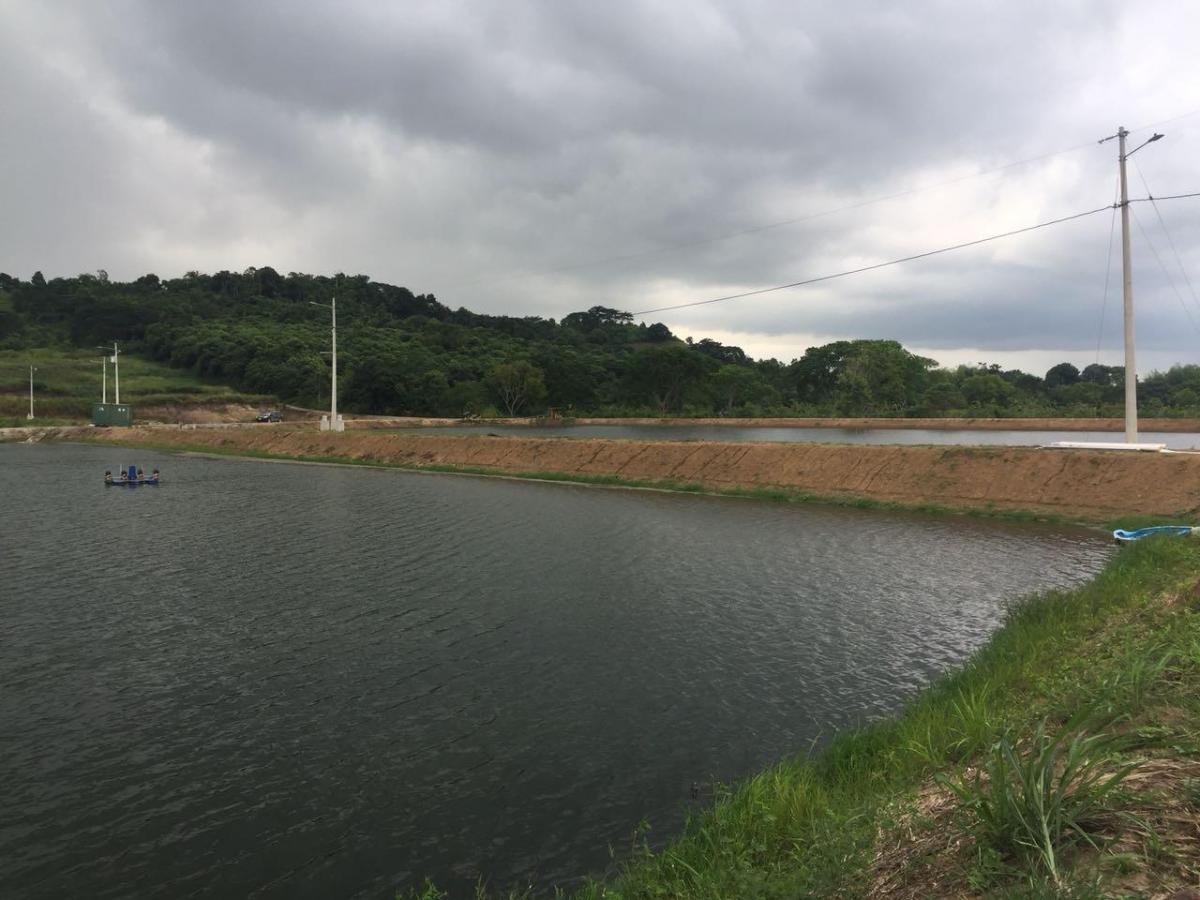 Oportunidad, Camaronera Funcionando de Venta Zona Rural de Chone, Manabí — imagen 7
