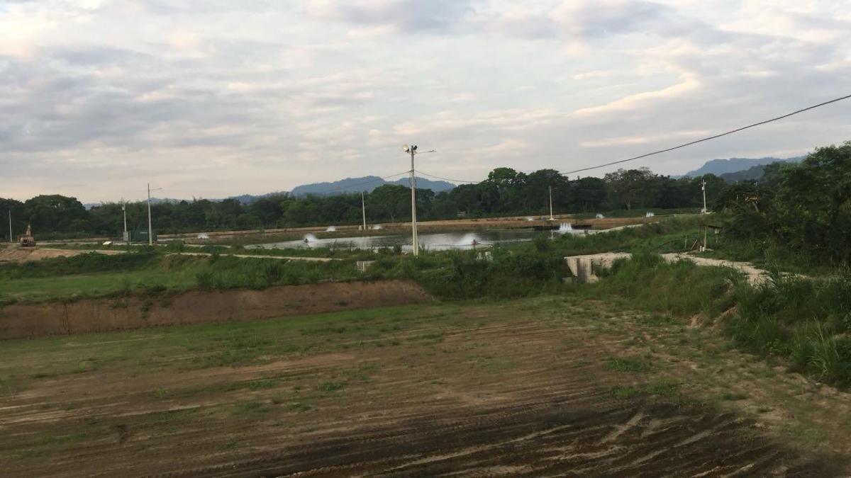 Oportunidad, Camaronera Funcionando de Venta Zona Rural de Chone, Manabí — imagen 3