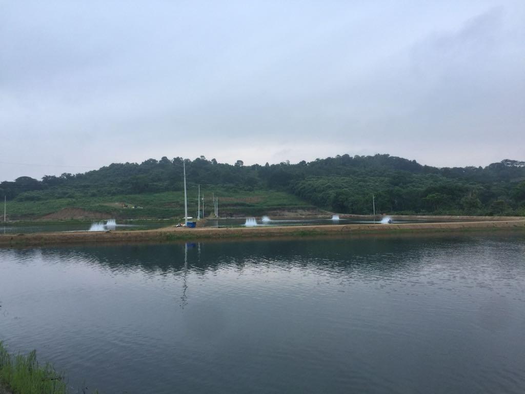 Oportunidad, Camaronera Funcionando de Venta Zona Rural de Chone, Manabí — imagen 6