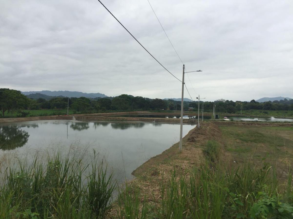 Oportunidad, Camaronera Funcionando de Venta Zona Rural de Chone, Manabí — imagen 4