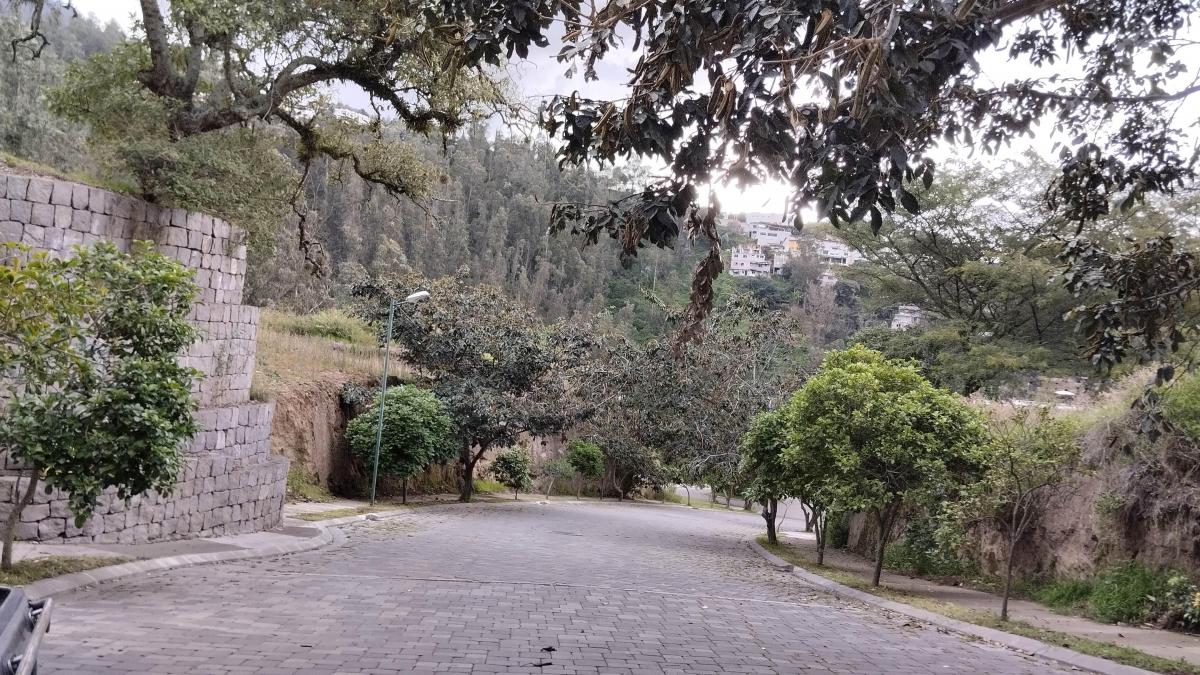 Re/max Futuro Vende Terreno 1373 m² San Juan de Cumbaya El Cebollar — imagen 8