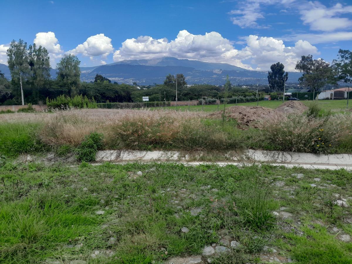 Vendo Dos Hermosos Lotes de Terreno Tumbaco Hilacril El Arenal — imagen 10