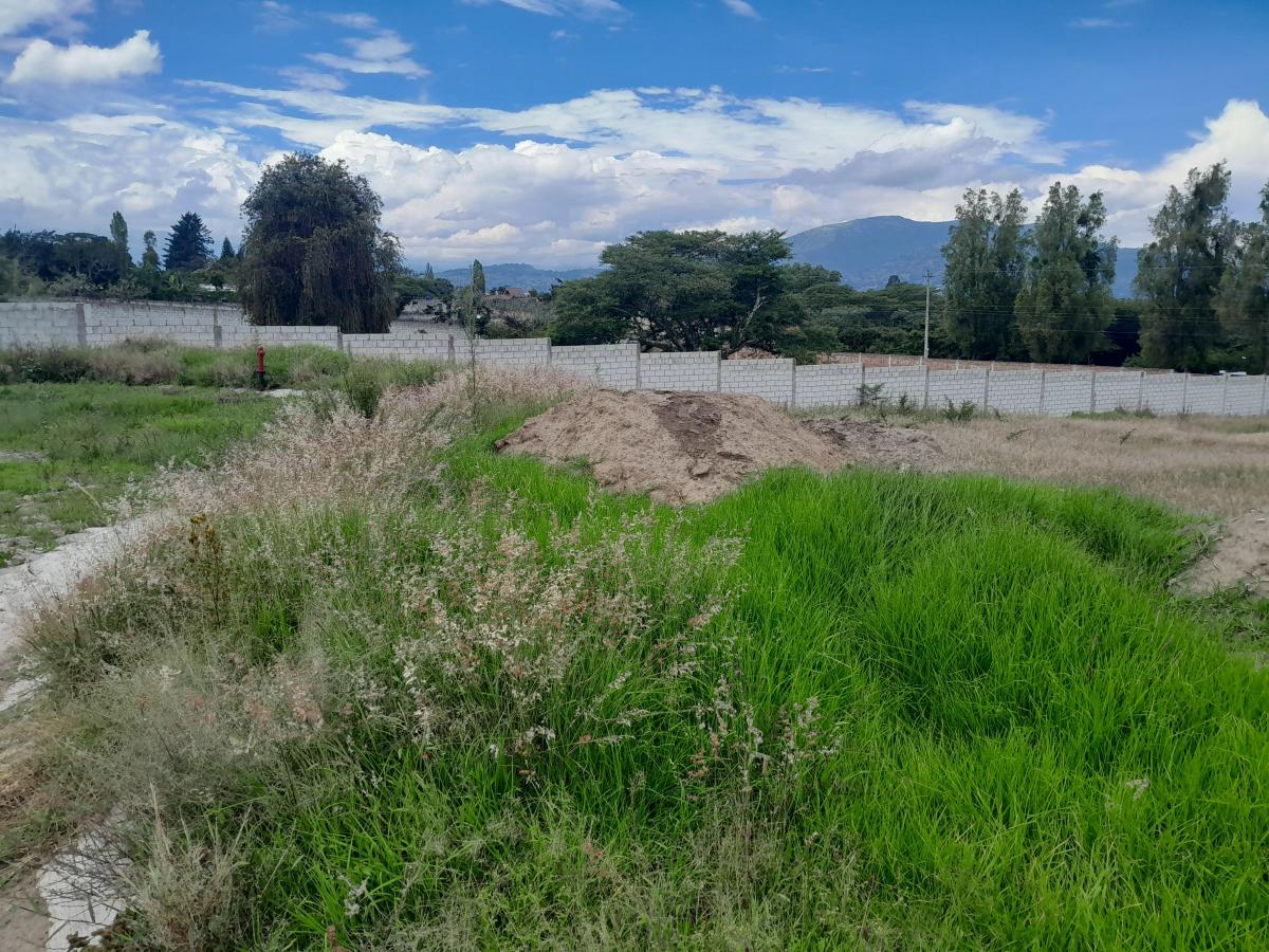 Vendo Dos Hermosos Lotes de Terreno Tumbaco Hilacril El Arenal — imagen 9