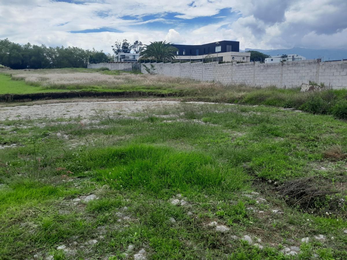 Vendo Dos Hermosos Lotes de Terreno Tumbaco Hilacril El Arenal — imagen 8