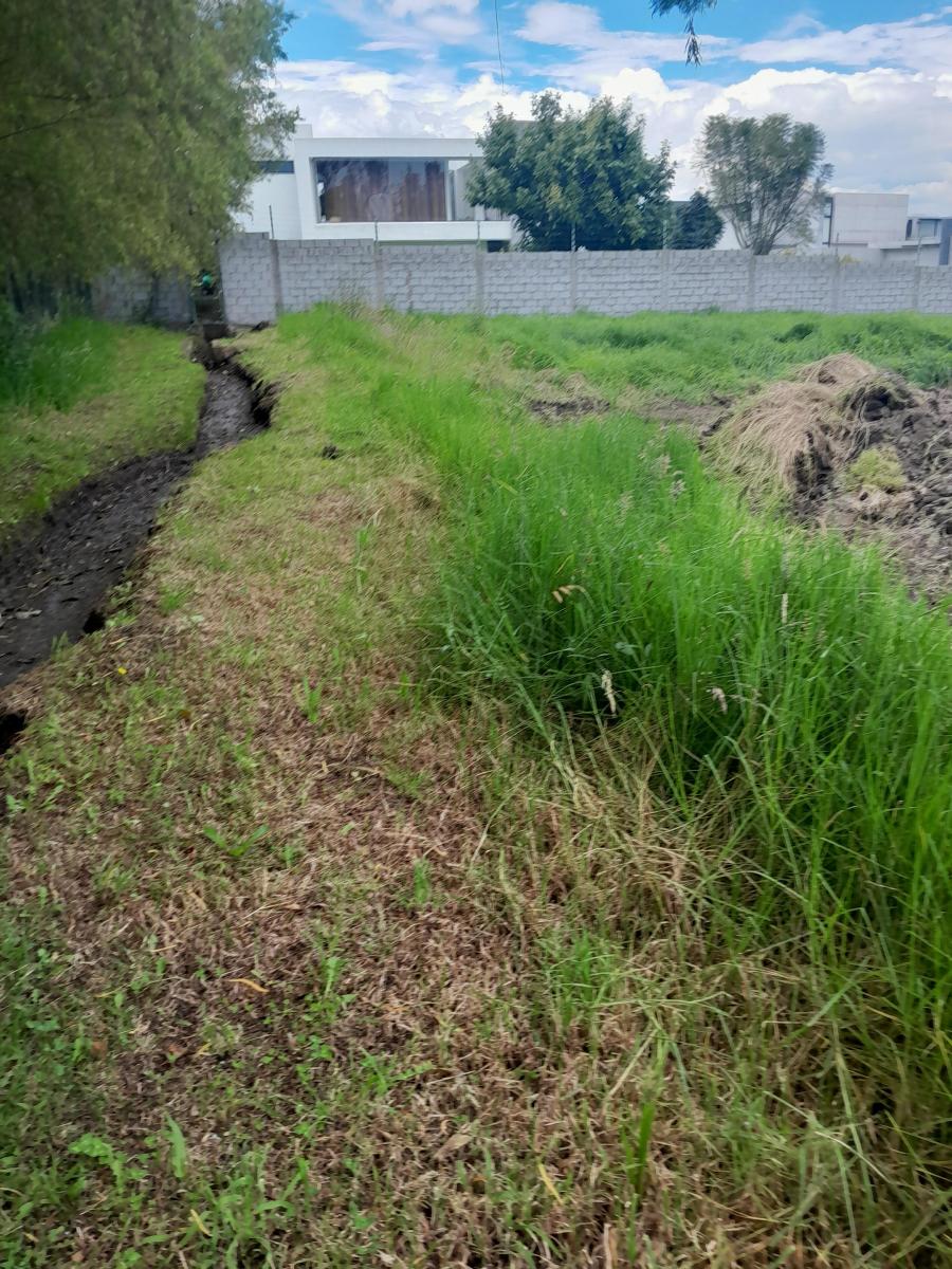 Vendo Dos Hermosos Lotes de Terreno Tumbaco Hilacril El Arenal — imagen 6