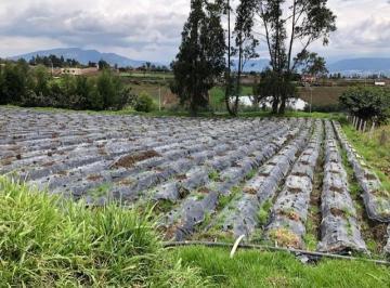 Terrenos de Venta Quito Yaruqui Para Industria de Mediano Impacto — imagen 4