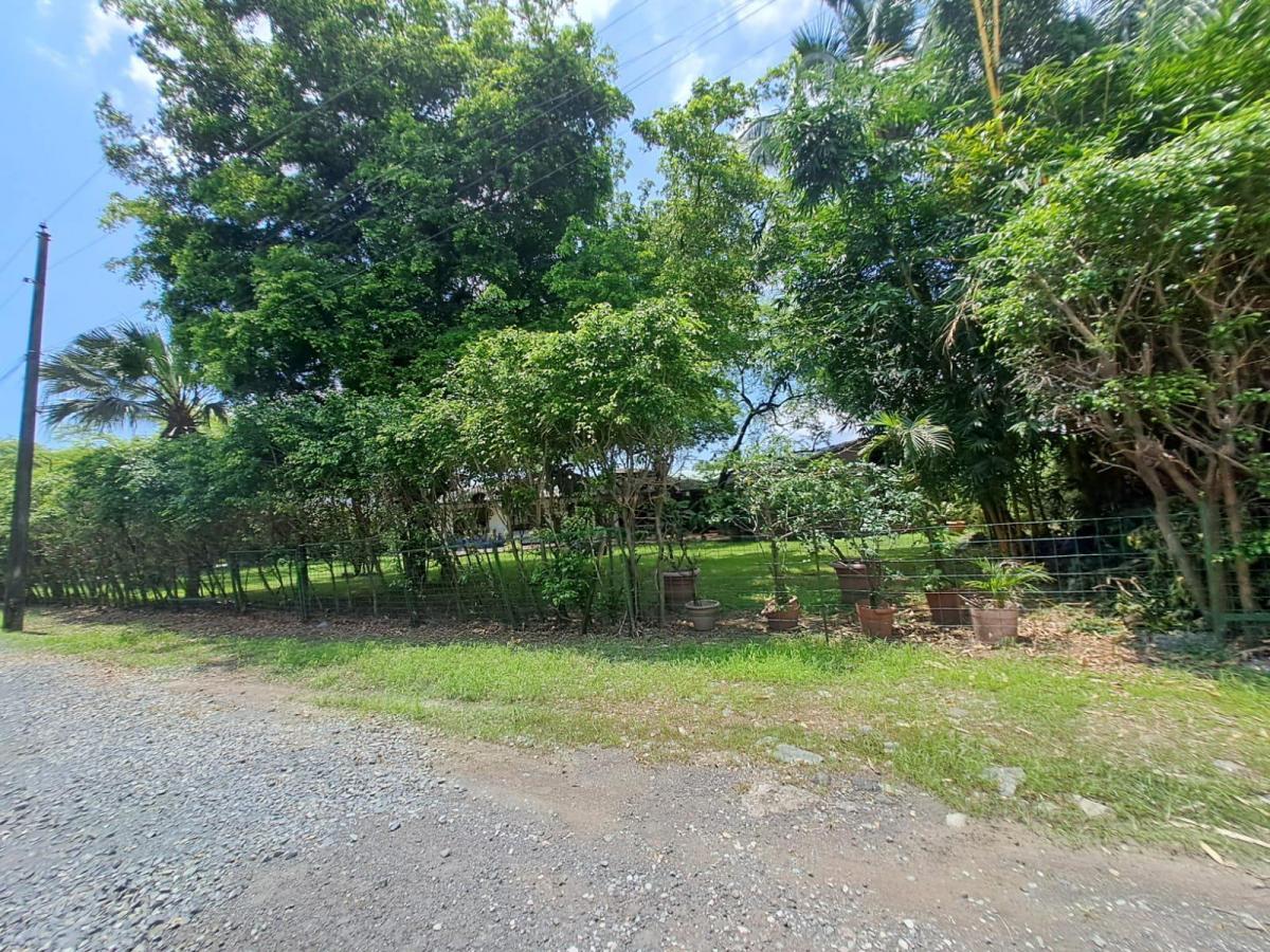 Venta de Terreno Al Pie del Río Para Construcción de Edificio 11 Pisos, Guayas — imagen 5