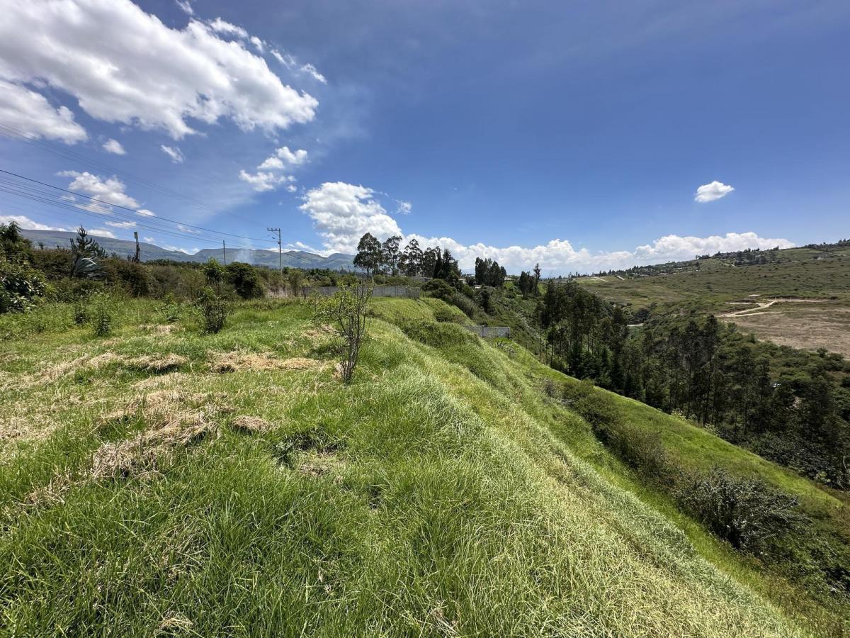 Terreno en Venta Tumbaco Av Universitaria 8 Minutos de La La Ruta Viva — imagen 10