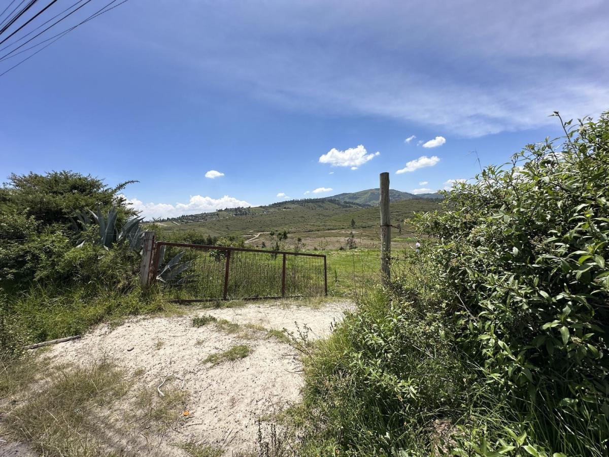 Terreno en Venta Tumbaco Av Universitaria 8 Minutos de La La Ruta Viva — imagen 9