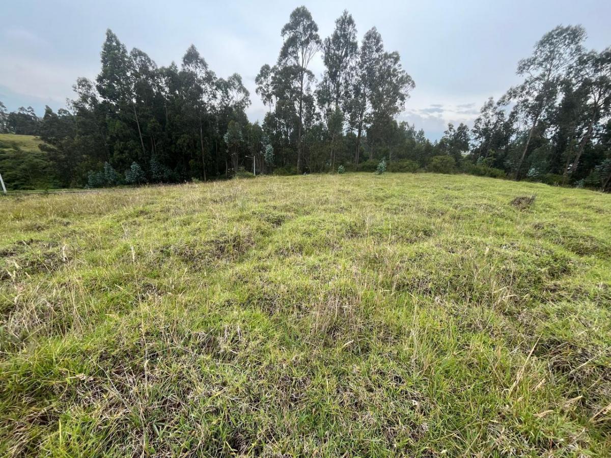 Terreno de Venta en Alangasí — imagen 9