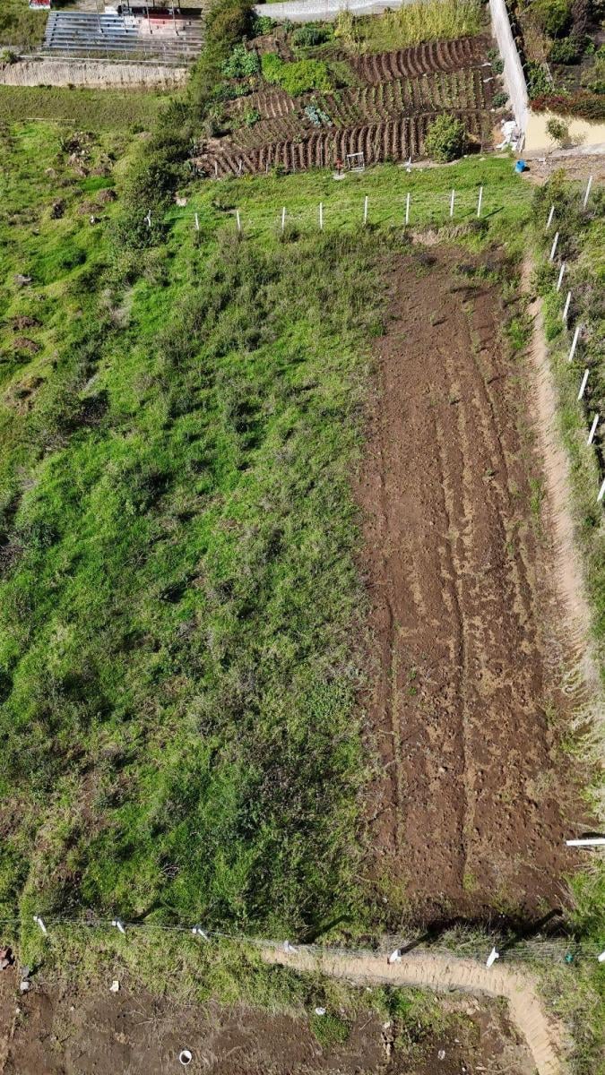 Terreno en Venta Pifo Uso Multiple Chaupimolino Aeropuerto — imagen 6