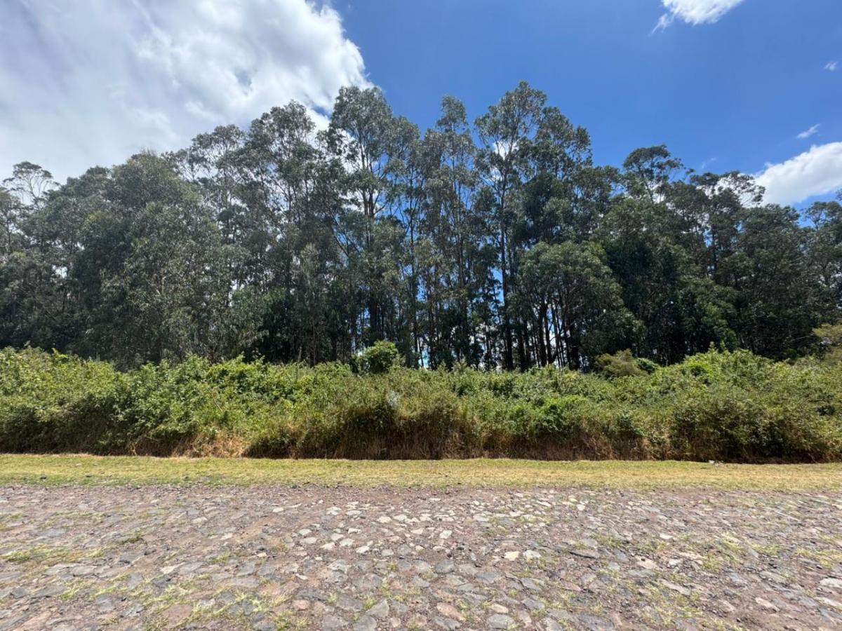 Terreno de Venta en Urbanzación Panorama en Pifo — imagen 3