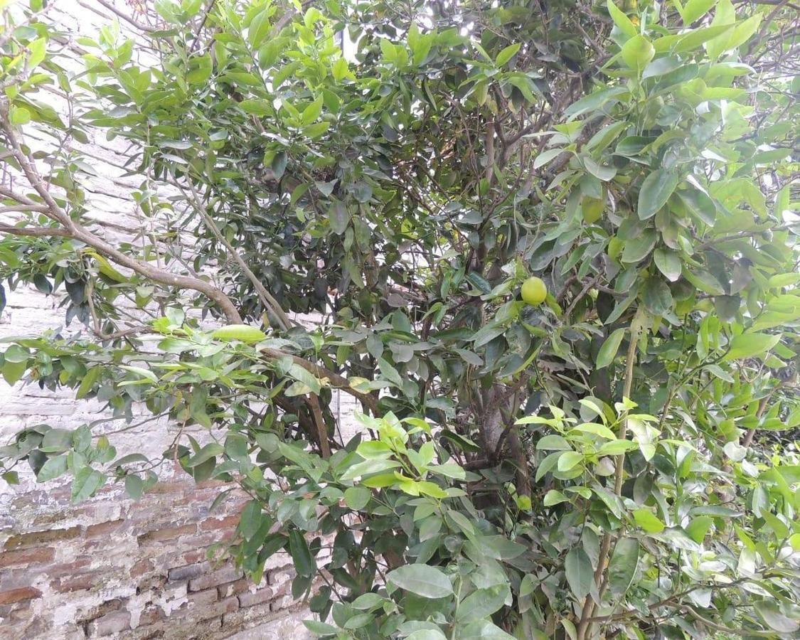 Vendo Hermosa Casa con Piscina Sector Calderon — imagen 4