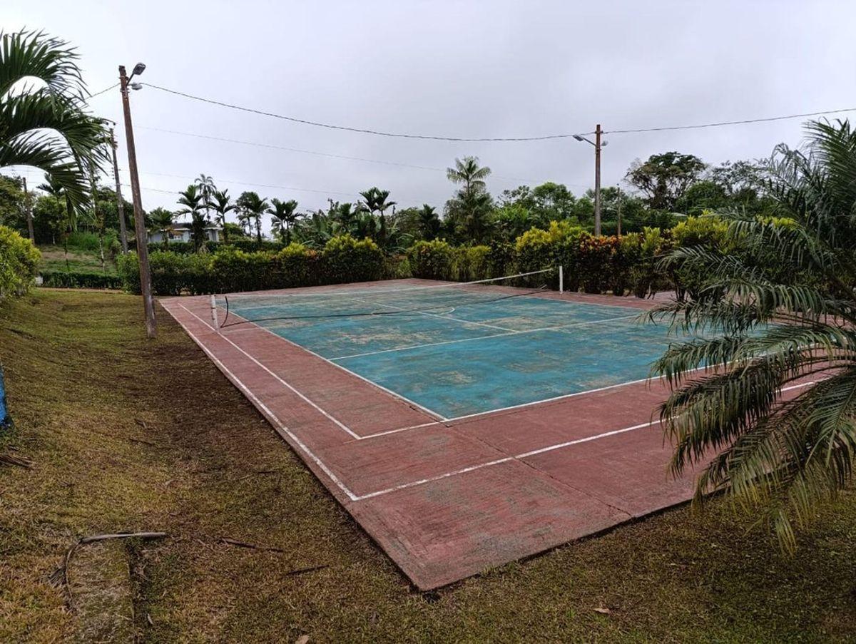 Terreno en Venta en Urbanización, Pedro Vicente m — imagen 5