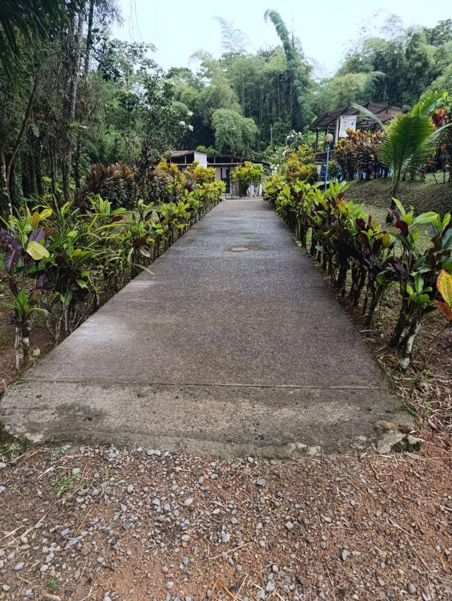 Terreno en Venta Urb. Caoni, Pedro Vicente m. Provincia de Pichincha — imagen 6