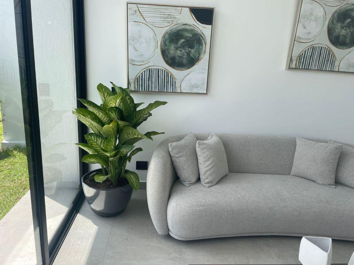 Casa de Una Sola Planta con 3 Habitaciones de 182 m² en Venta en Ruta Viva Tumbaco — imagen 7