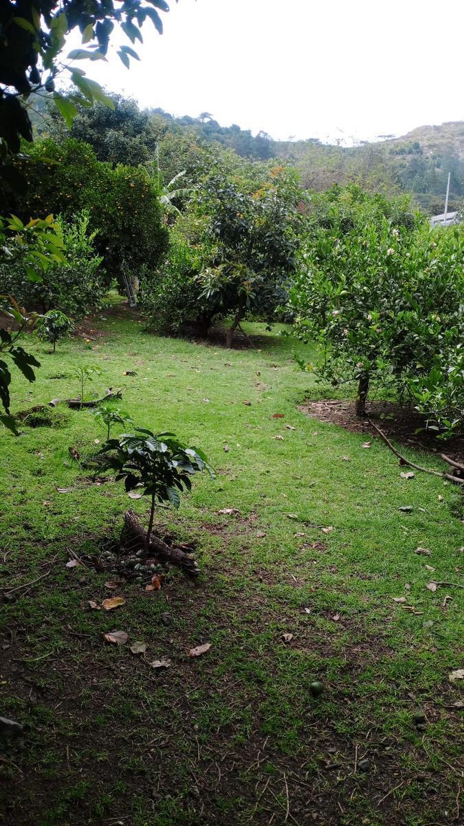 Jal. Terreno Frutal en Guayllabamba, 1.000 m² en Chaquibamba — imagen 7