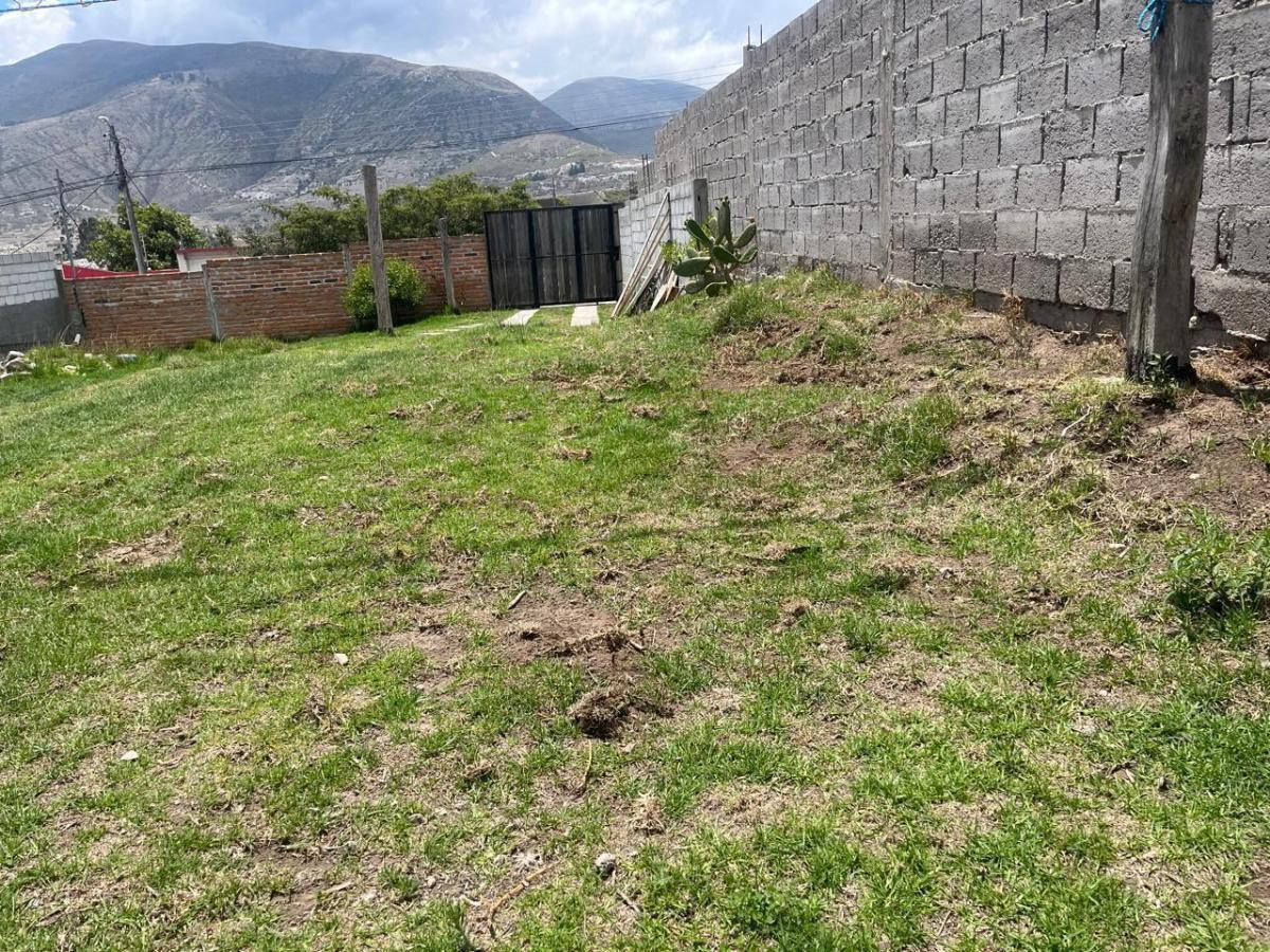 Casa en Norte de Quito — imagen 3