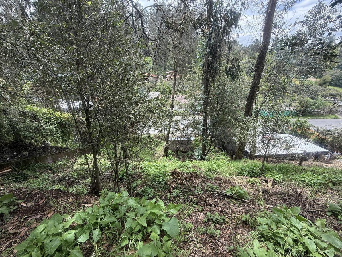Tersse Vende Amplio Terreno de 650 m² - Estratégicamente Ubicado en La Av Ilalóreno — imagen 9