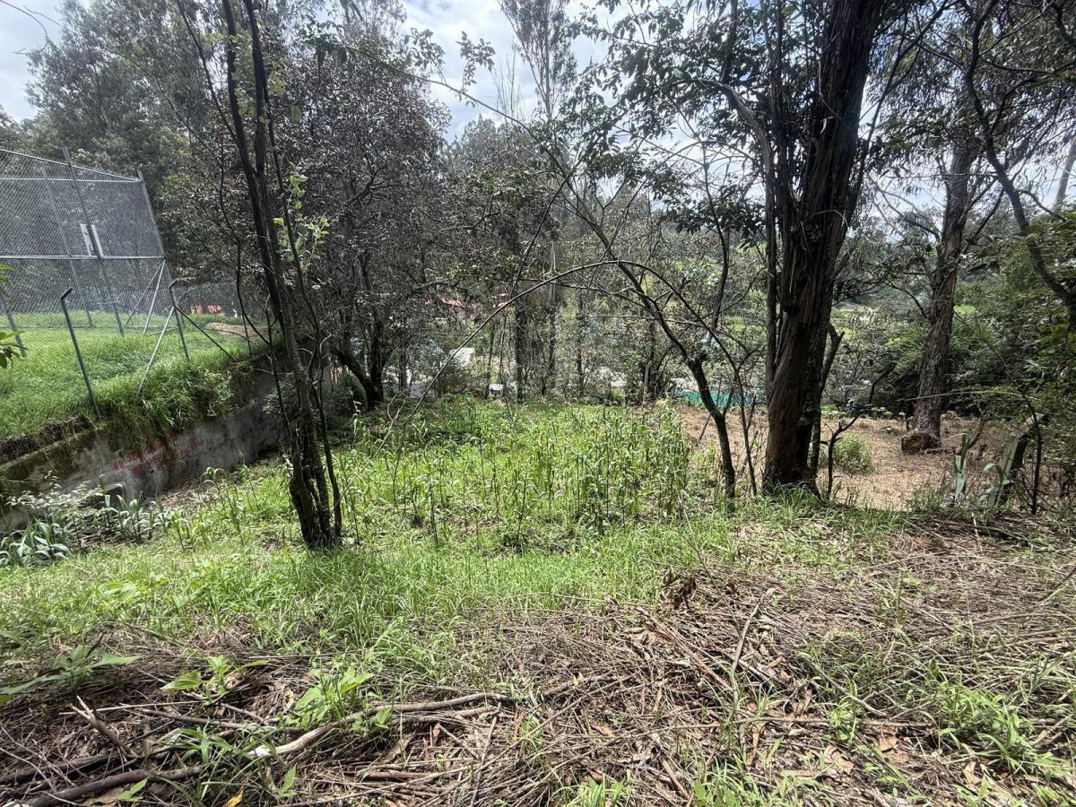 Tersse Vende Amplio Terreno de 650 m² - Estratégicamente Ubicado en La Av Ilalóreno — imagen 7