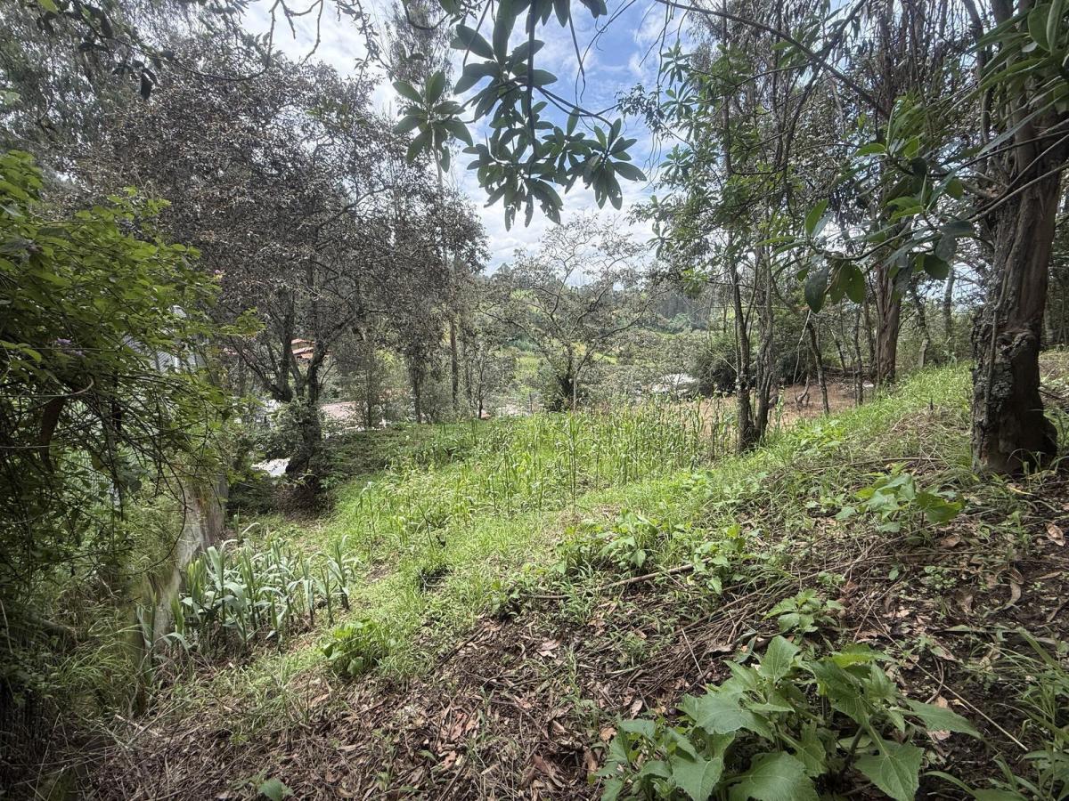 Tersse Vende Amplio Terreno de 650 m² - Estratégicamente Ubicado en La Av Ilalóreno — imagen 6