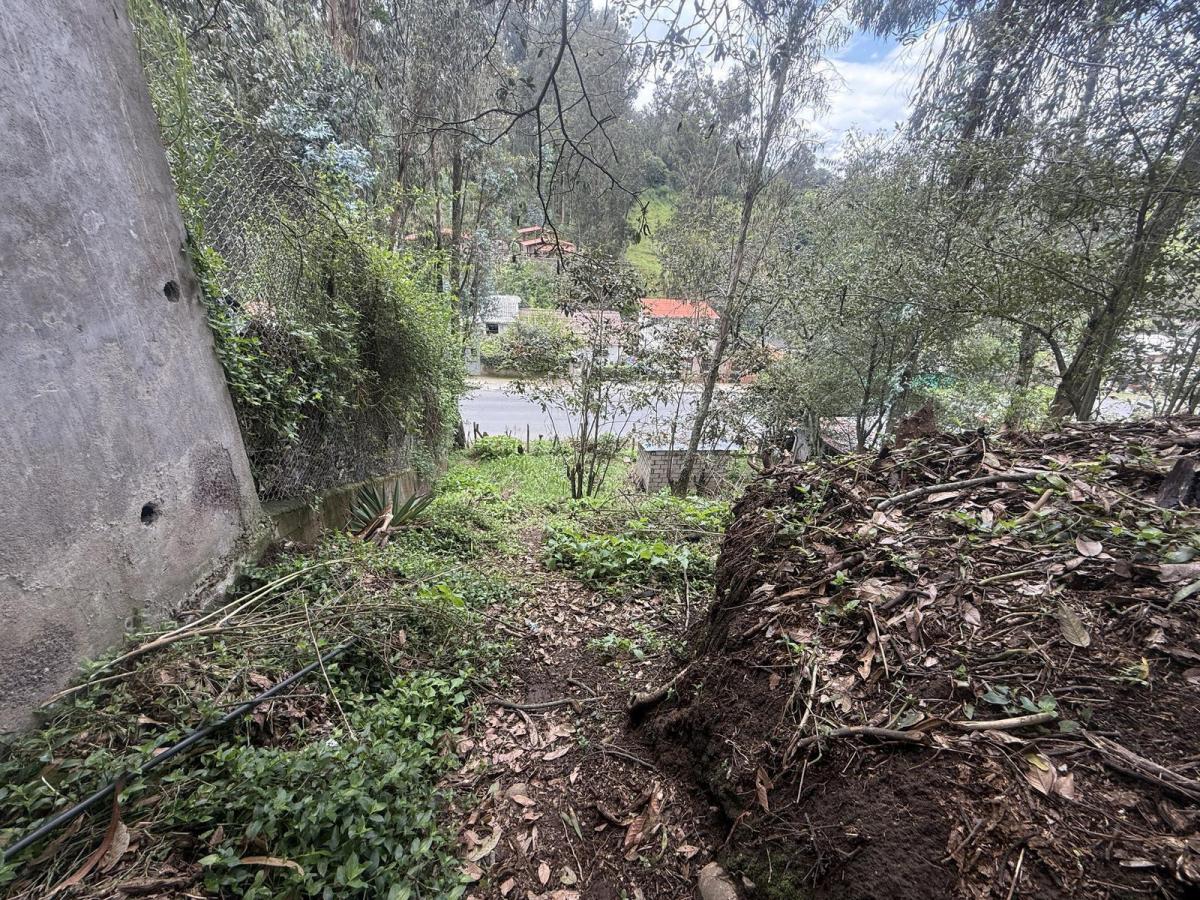 Tersse Vende Amplio Terreno de 650 m² - Estratégicamente Ubicado en La Av Ilalóreno — imagen 5