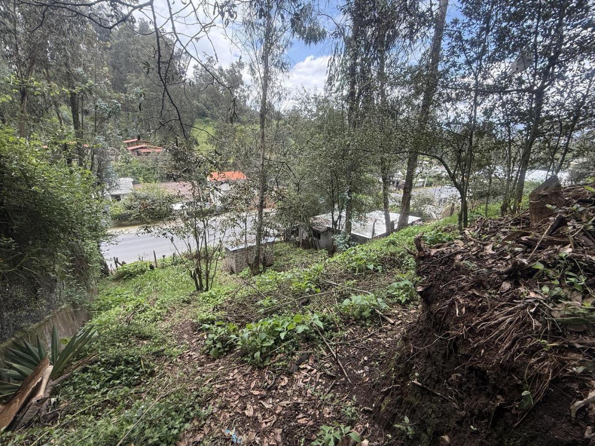 Tersse Vende Amplio Terreno de 650 m² - Estratégicamente Ubicado en La Av Ilalóreno — imagen 4