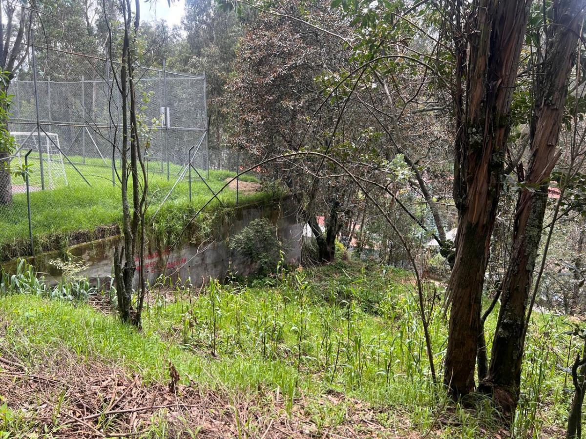 Tersse Vende Amplio Terreno de 650 m² - Estratégicamente Ubicado en La Av Ilalóreno — imagen 3
