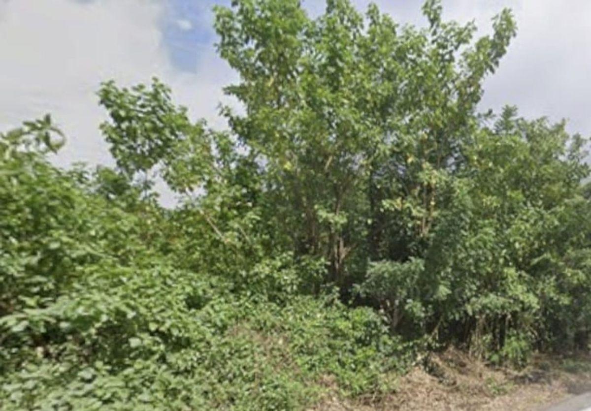 Venta de Terreno de 802,5 M².manglaralto 2 Mangas — imagen 4