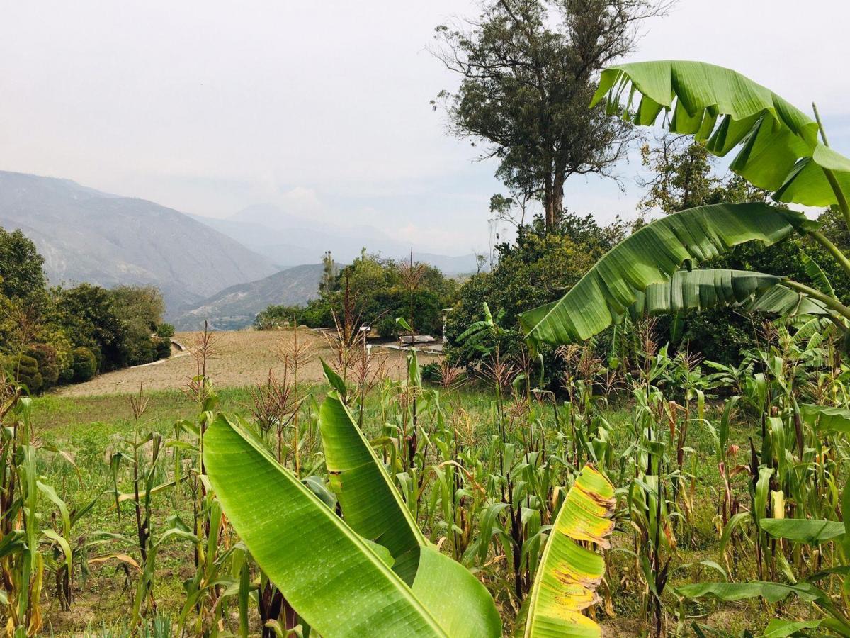 Jal. Venta Quinta Guayllabamba Descanso y Proyecto Agrícola — imagen 9