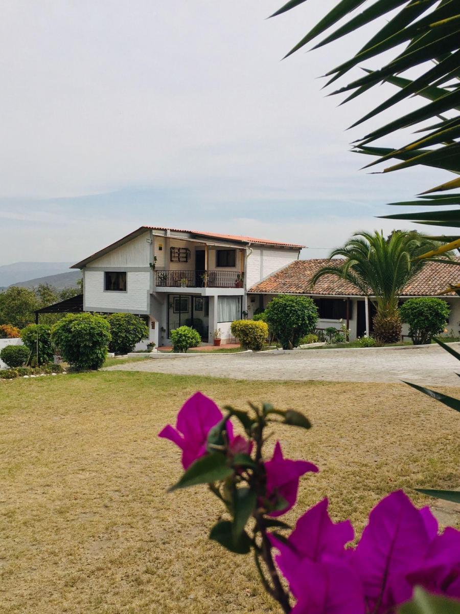 Jal. Venta Quinta Guayllabamba Descanso y Proyecto Agrícola — imagen 5