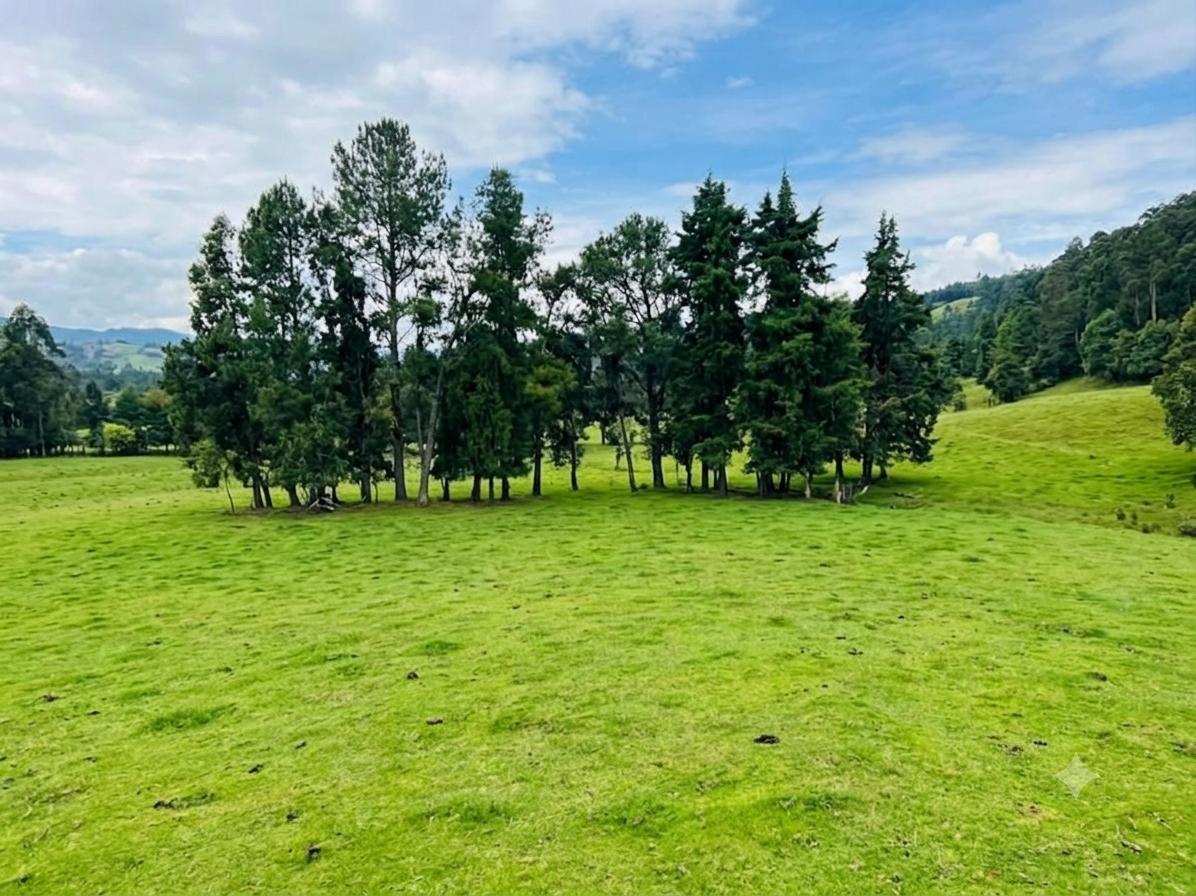 Terreno en Venta en Amaguaña, Quito de 8ha — imagen 4