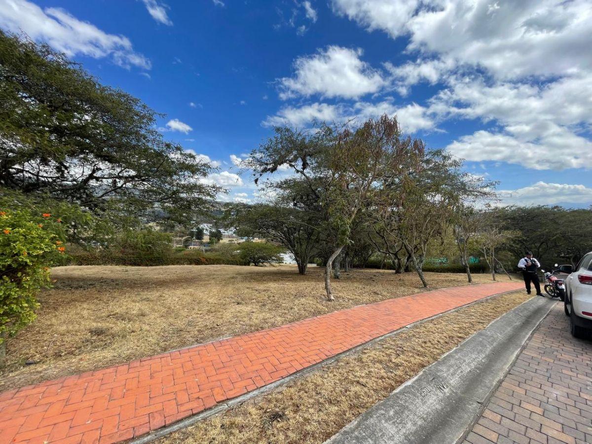 Estupendo Terreno en Venta en Cumbayá — imagen 9