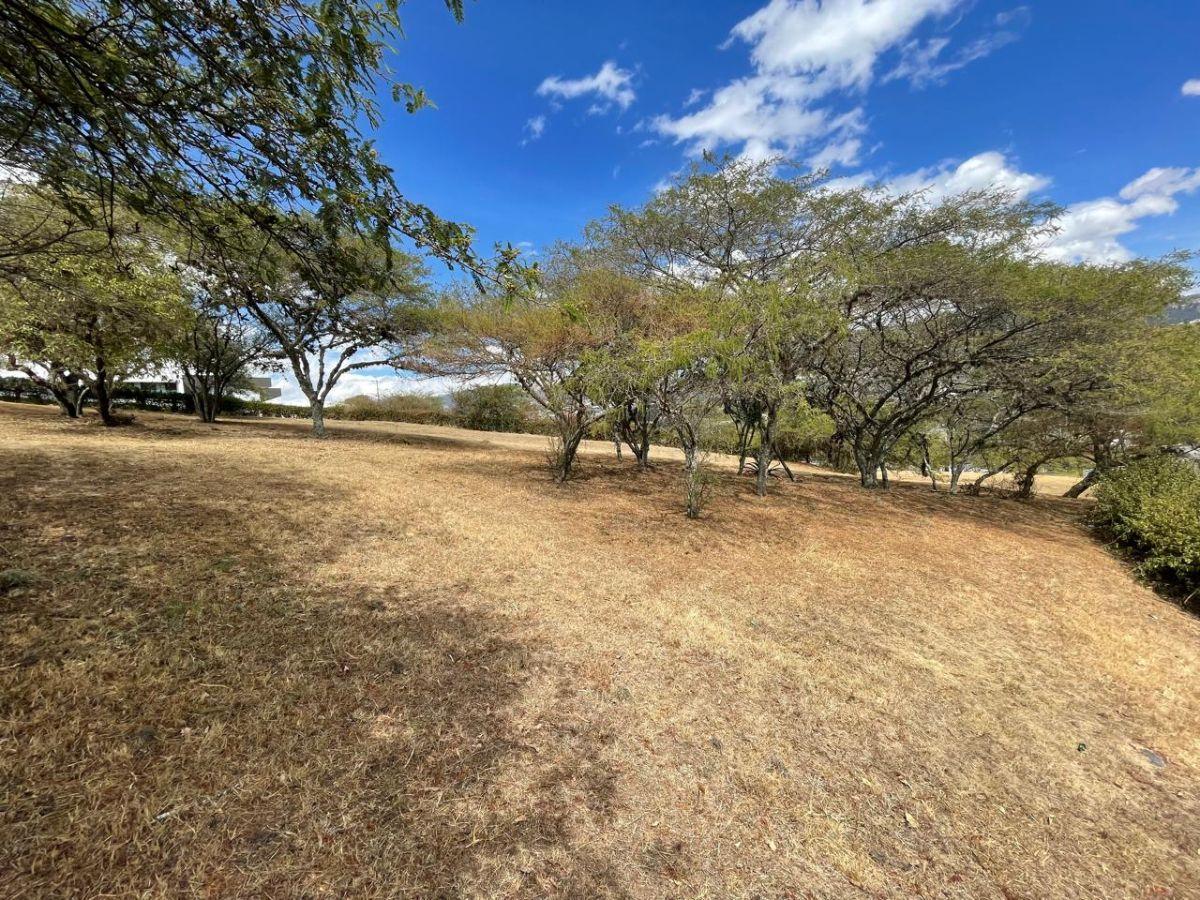 Estupendo Terreno en Venta en Cumbayá — imagen 8