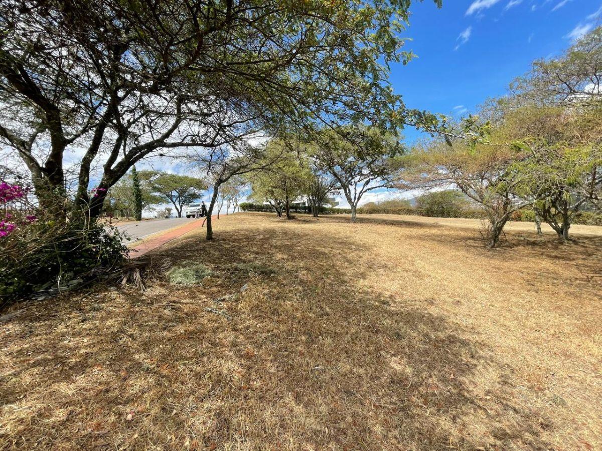 Estupendo Terreno en Venta en Cumbayá — imagen 7