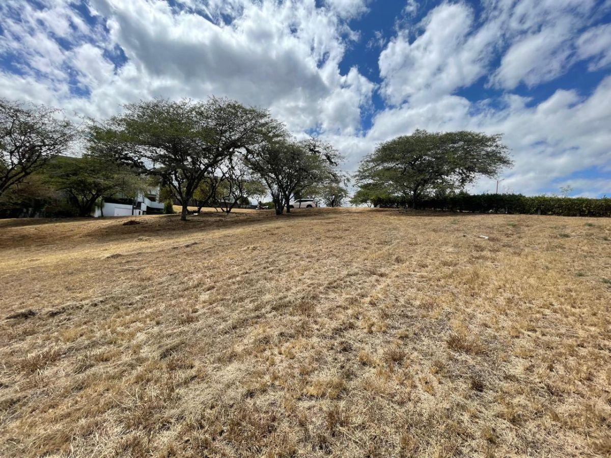 Estupendo Terreno en Venta en Cumbayá — imagen 6