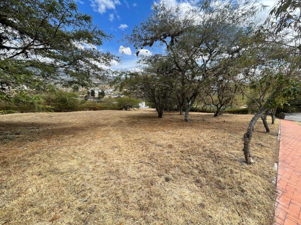 Estupendo Terreno en Venta en Cumbayá — imagen 3