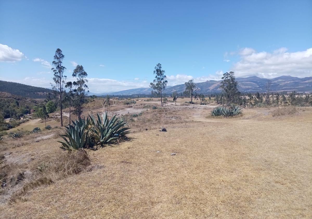Terreno de 1000 m² en Venta en La Merced — imagen 9